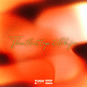 尚香书院注册问题答案
