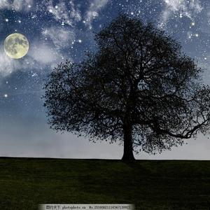 尚香书院注册问题答案
